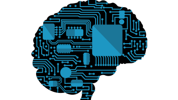 Kognitive Verzerrungen - Gehirn (https://cdn.pixabay.com/photo/2020/09/11/20/47/brain-5564173_1280.png)